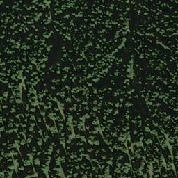 Satellite imagery of Gamma Ridge, US