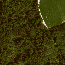 Satellite imagery of Lämmlisberg, DE