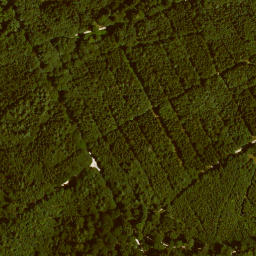 Satellite imagery of Lämmlisberg, DE