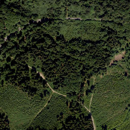 Satellite imagery of Turmberg, AT