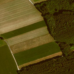 Satellite imagery of Kälberberg, DE