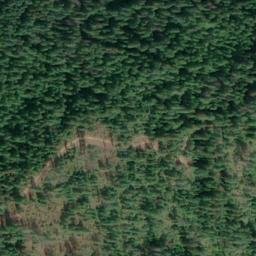 Satellite imagery of Bimetallic Ridge, US