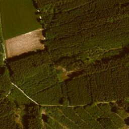 Satellite imagery of Kälberberg, DE