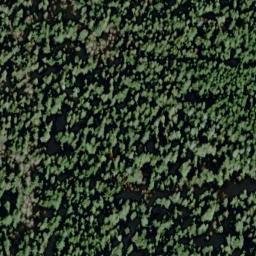 Satellite imagery of McCurdy Point, US