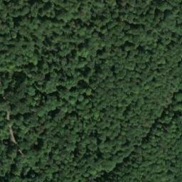 Satellite imagery of Eichbergturm, DE