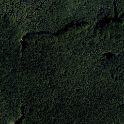 Satellite imagery of Steinplattl, AT