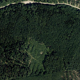 Satellite imagery of Mitterriegel, AT