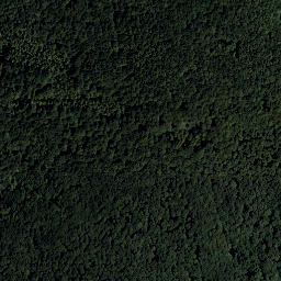 Satellite imagery of Steinplattl, AT