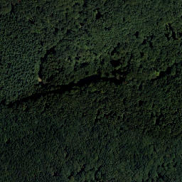 Satellite imagery of Festenberg, AT
