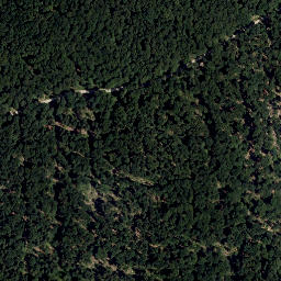 Satellite imagery of Steinplattl, AT