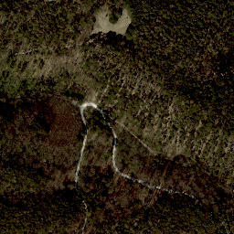 Satellite imagery of Bierhäuslberg, AT