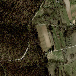 Satellite imagery of Bierhäuslberg, AT