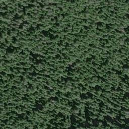 Satellite imagery of Shafers Point, US