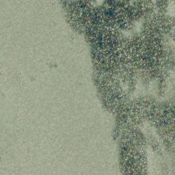 Satellite imagery of Prince Point, CA