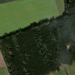 Satellite imagery of Tannenwald, DE