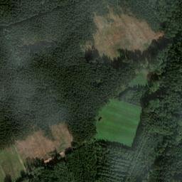 Satellite imagery of Tannenwald, DE