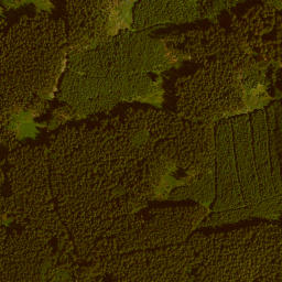 Satellite imagery of Im Neuwang, DE