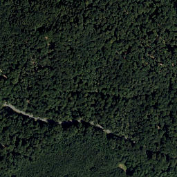 Satellite imagery of Geschriebene Buche, AT