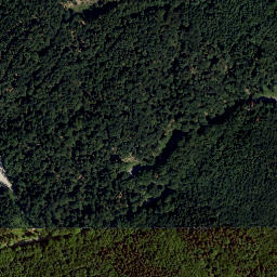 Satellite imagery of Geschriebene Buche, AT