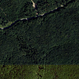 Satellite imagery of Geschriebene Buche, AT
