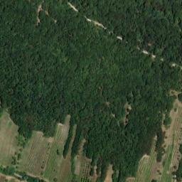 Satellite imagery of survey_point, AT