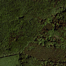 Satellite imagery of Geschriebene Buche, AT