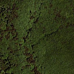 Satellite imagery of Geschriebene Buche, AT