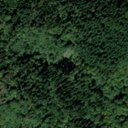 Satellite imagery of Waldkirch Castle, DE