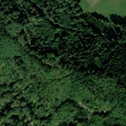 Satellite imagery of Waldkirch Castle, DE