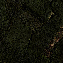 Satellite imagery of Rieglerswartberg, AT