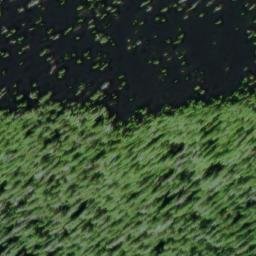 Satellite imagery of Wiley Ridge, US
