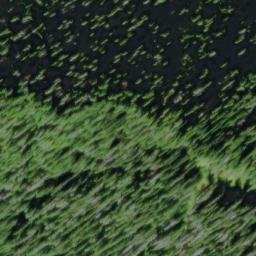 Satellite imagery of Wiley Ridge, US