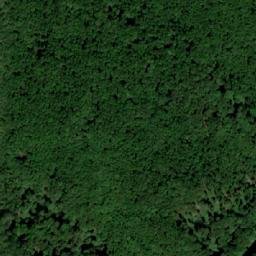 Satellite imagery of survey_point, SK