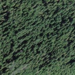 Satellite imagery of Harrigan Point, US