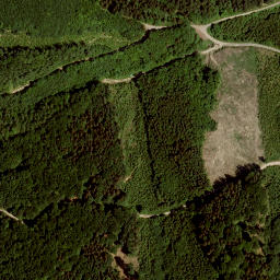 Satellite imagery of Priefamtannkogel, AT