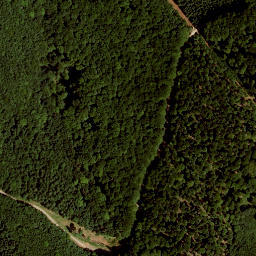 Satellite imagery of Dachsberg, AT