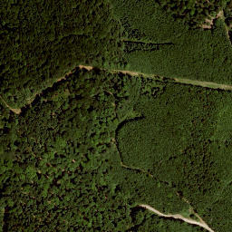 Satellite imagery of Dachsberg, AT