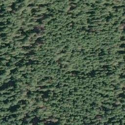 Satellite imagery of Cedar Point, US