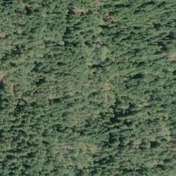 Satellite imagery of Neagle Point, US