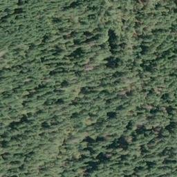 Satellite imagery of Neagle Point, US