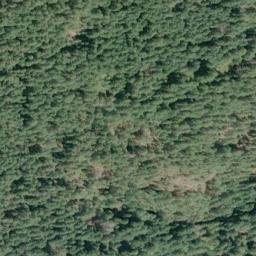 Satellite imagery of Neagle Point, US