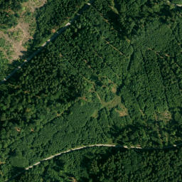 Satellite imagery of Sattelberg, DE