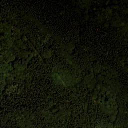 Satellite imagery of Steinwandleiten, AT