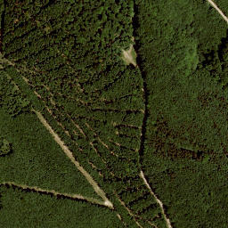 Satellite imagery of Dachsberg, AT