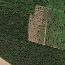 Satellite imagery of Kalter Berg, AT