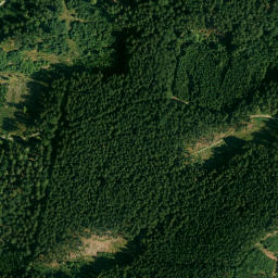 Satellite imagery of Sattelberg, DE