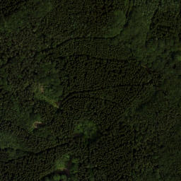 Satellite imagery of Steinwandleiten, AT