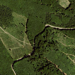 Satellite imagery of Dachsberg, AT
