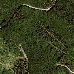 Satellite imagery of Dachsberg, AT