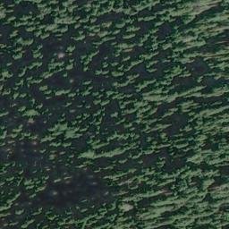 Satellite imagery of Meldrim Point, US